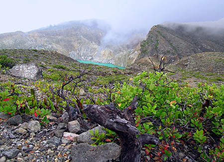 02 Approaching the Mist