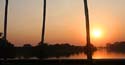 06-Three-palms-at-sunset
