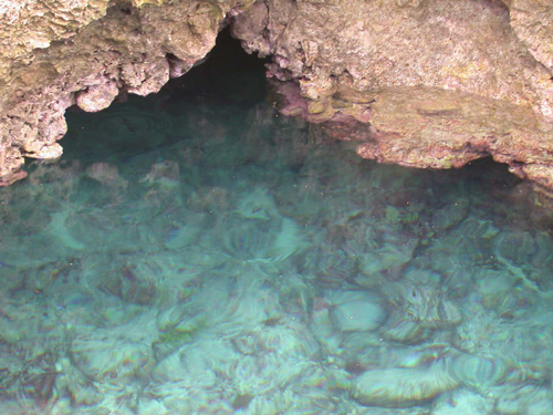 DSCN8586RocksandReefs,LimoP