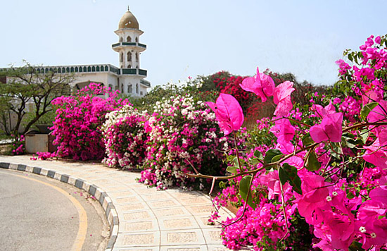 06 Parking area by Job's Tomb