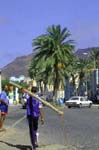 StreetScene