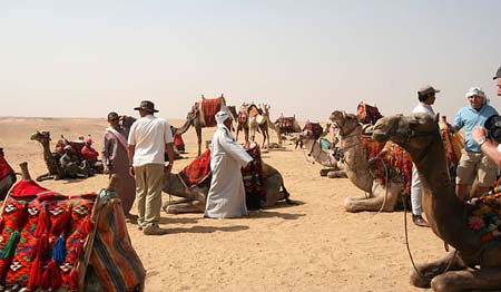 04  Selecting a Camel