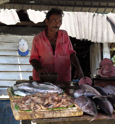 DSCN9934 Selling Fish along Galle Road