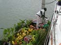 BananaBoatManDSCN1531