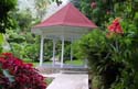 WeddingChapelBotanicalGardensDSCN1600