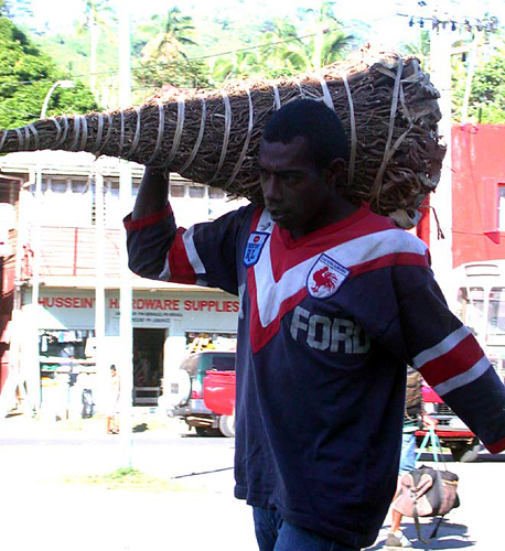 DSCN5481_Man_Carrying_Bundl