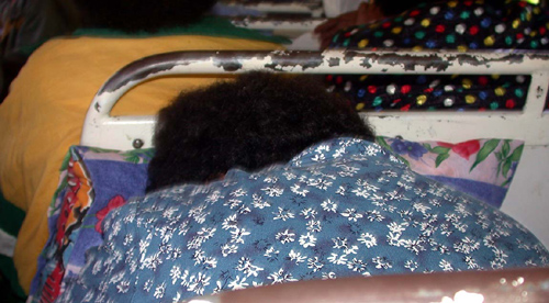 DSCN5485_Passengers_Sleepin