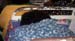 DSCN5485_Passengers_Sleepin