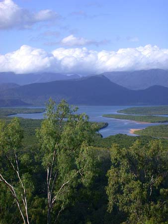 Overlooking Hitchinbrook