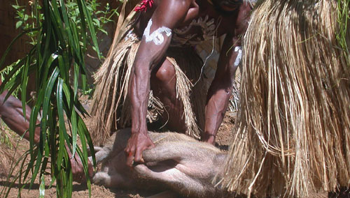 9 Hog Tied